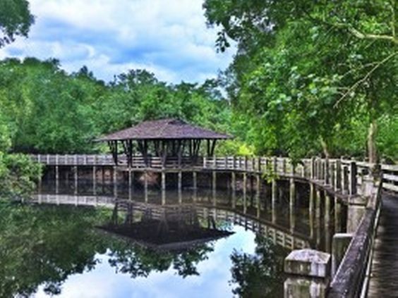 Singapur – Krajina Ktorá Si Postavila Rovno Celý Ostrov